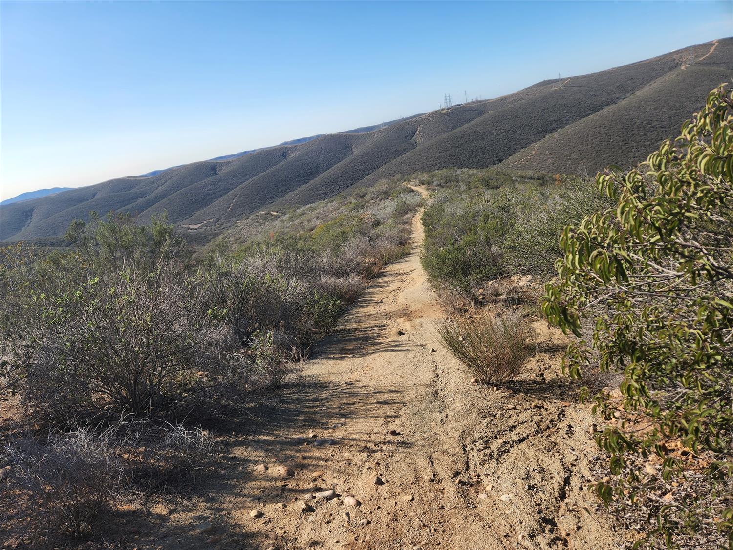 Sycamore Canyon Trail Races